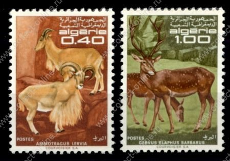 Алжир 1968 г. • Sc# 404-405 • дикие животные • копытные • полн. серия • MNH OG VF