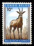 Бельгийское Конго • 1959 г. • Mi# 343 • 10 c. • Фауна Африки • антилопа • MNH OG VF