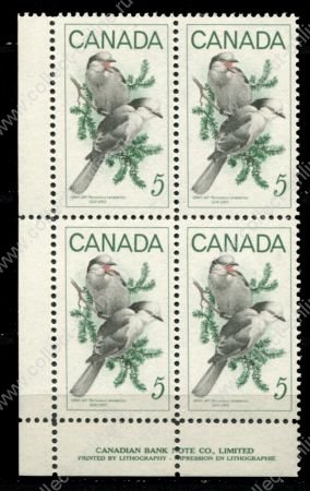 Канада 1968 г. • Sc# 478 • 5 c. • Птицы Канады • серые сойки • кв. блок • MNH OG XF+
