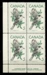 Канада 1968 г. • Sc# 478 • 5 c. • Птицы Канады • серые сойки • кв. блок • MNH OG XF+