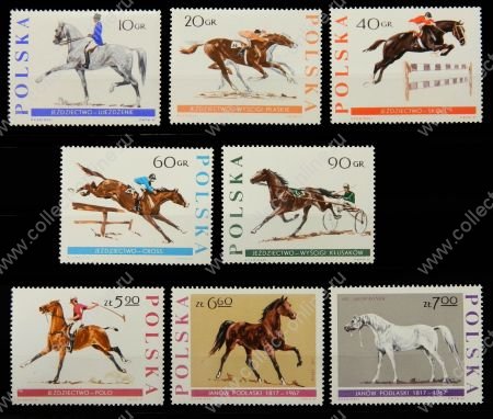 Польша 1967 г. • Mi# 1740-7 • 10 gr. - 7 zt. • Спортивные породы лошадей • MNH OG VF • полн. серия ( кат.- €10 )