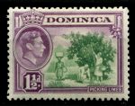 Доминика 1938-1947 гг. • Gb# 101 • 1½ d. • Георг VI • основной выпуск • сбор лимонов • MH OG VF