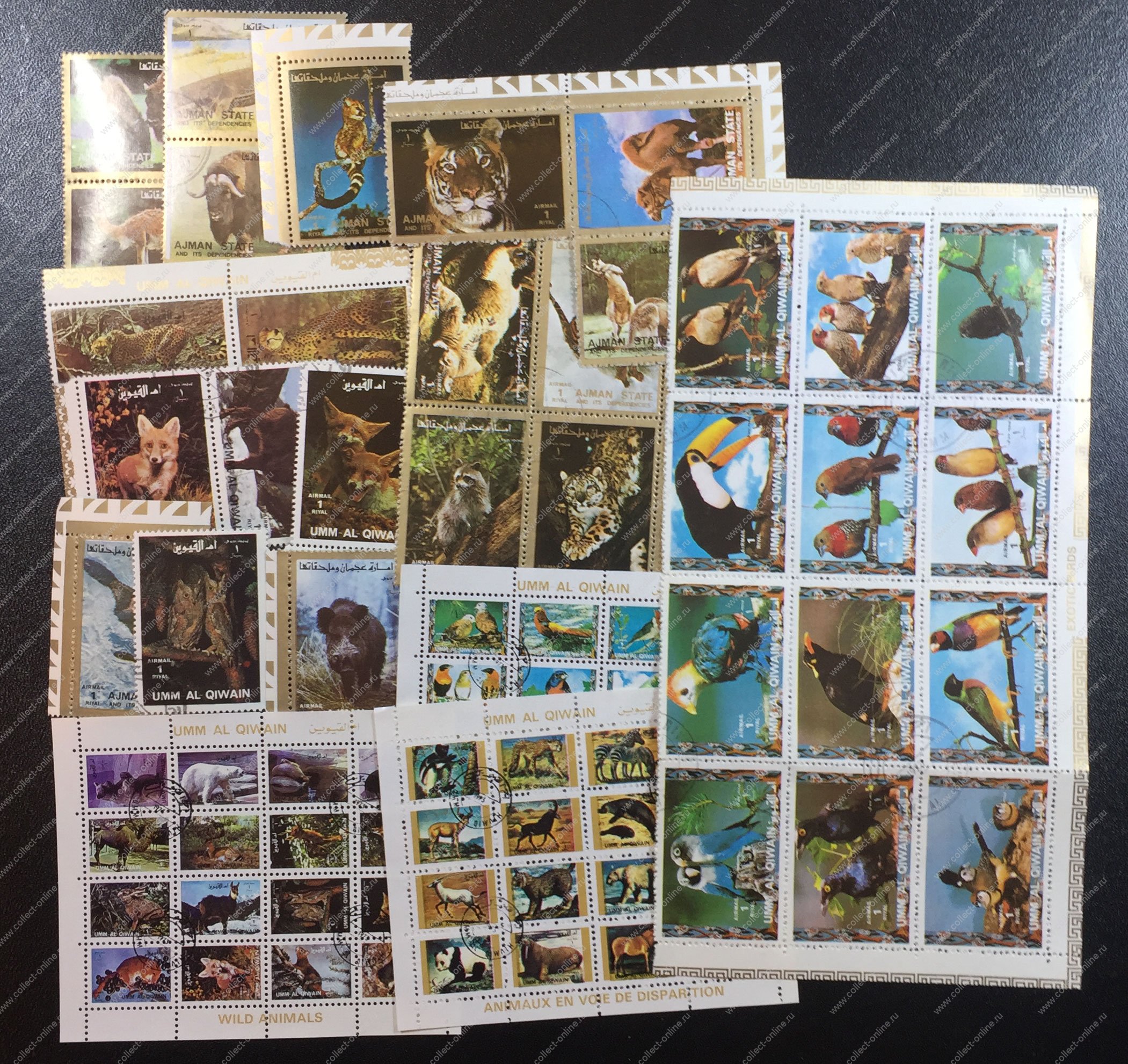 Коллекционер открыток называется. Альбомы коллекционер открыток. Издательство коллекционер открытки. Марки фауна наборы разных стран.