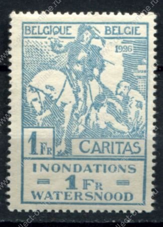 Бельгия 1926 г. • Mi# 208 • 1 fr. • Пострадавшим от наводнения в Льеже • MLH OG XF