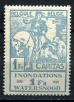 Бельгия 1926 г. • Mi# 208 • 1 fr. • Пострадавшим от наводнения в Льеже • MLH OG XF
