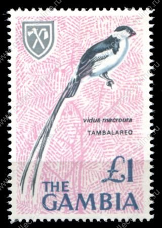 Гамбия 1966 г. • Gb# 245 • £1 • Птицы • концовка серии • MNH OG VF