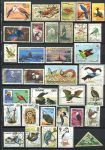 Фауна(птицы) • набор 78 разных иностранных марок + конверт • Used VF