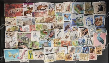 Фауна • набор 70+ разных иностранных марок • Used VF