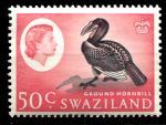 Свазиленд 1962-1966 гг. • Gb# 103 • 50 c. • Елизавета II основной выпуск • птица-носорог • MLH OG XF ( кат.- £ 20 )
