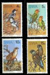 Юго-западная Африка 1974 г. • Mi# 392-5 • 4 - 15 c. • птицы • полн. серия • MH OG VF