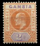 Гамбия 1902-1905 гг. • Gb# 47 • 2 d. • Эдуард VII • стандарт • MH OG VF ( кат. - £4 )