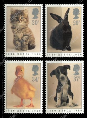 Великобритания 1990 г. • Gb# 1479-82 • Общество защиты животных • домашние питомцы • полн. серия • MNH OG XF