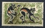 Мадагаскар 1961 г. • Mi# 471 • 85 fr. • Фауна Африки, лемуры • авиапочта • Used VF