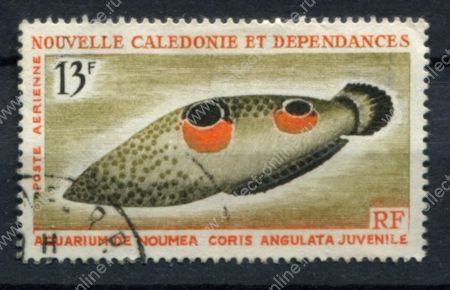 Новая Каледония 1965 г. • Mi# 415 • 13 fr. • рыбы • авиапочта • Used VF