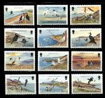 Мэн о-в 1983 г. • Sc# 224-235 • осн. выпуск • птицы острова • 13 марок • MNH OG VF