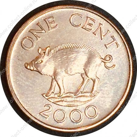 Бермуда 2000 г. • KM# 107 • 1 цент • Елизавета II • свинья • регулярный выпуск • BU