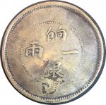 Китай • Синьцзян 1905 г. • KM# Y7 • 1 таел • дракон • "серебро" • AU (копия)