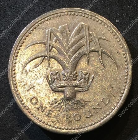 Великобритания 1985 г. • KM# 941 • 1 фунт • лук-порей в короне(символ Уэльса) • регулярный выпуск • XF