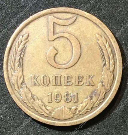 СССР 1981г. KM# 129a • 5 копеек • регулярный выпуск • +/- XF