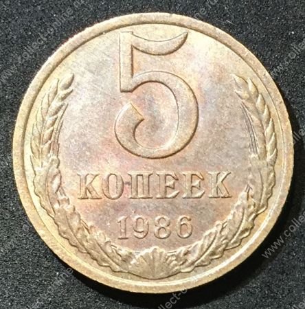 СССР 1986г. KM# 129a • 5 копеек • регулярный выпуск • XF-XF+