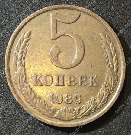 СССР 1989г. KM# 129a • 5 копеек • регулярный выпуск • +/- XF