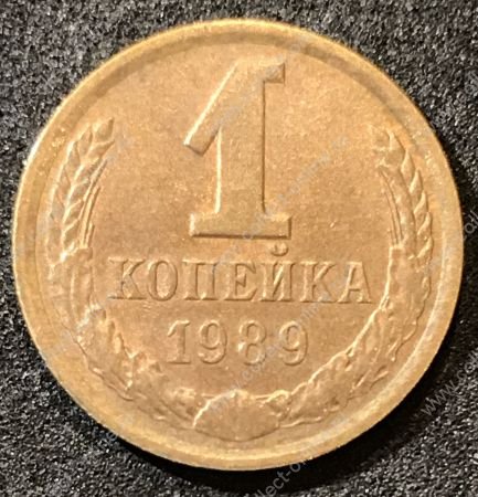 СССР 1989 г. KM# 126a • 1 копейка • герб СССР • регулярный выпуск • XF -AU