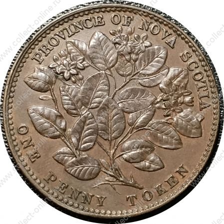 Новая Шотландия 1856 г. • KM# 6 • 1 пенни • цветы • торговый жетон • AU красн.