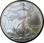 США 2004 г. • KM# 273 • 1 доллар • Американский орел • "Шагающая свобода" • инвестиционный выпуск • MS BU люкс!