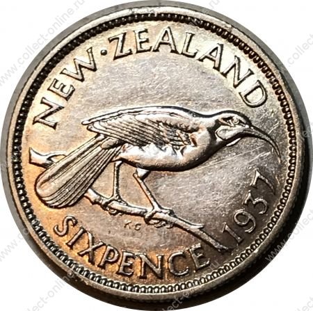 Новая Зеландия 1937 г. • KM# 8 • 6 пенсов • птица гуйя • серебро • регулярный выпуск • XF-AU