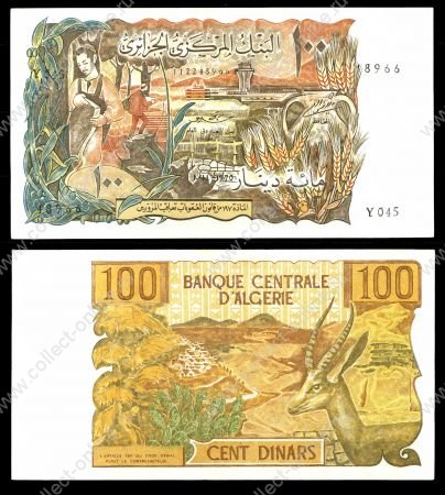 Алжир 1970 г. • P# 128 • 100 динаров • гончар и антилопа • регулярный выпуск • UNC пресс