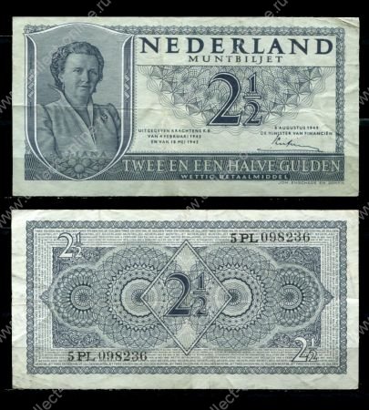 Нидерланды 1949 г. • P# 73 • 2½ гульдена • королева Вильгельмина • регулярный выпуск • XF
