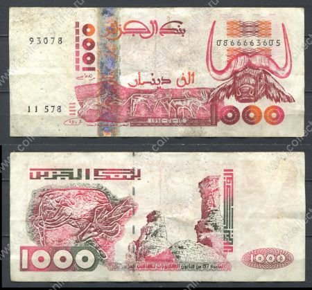 Алжир 1998 г. • P# 142b • 1000 динаров • голова бык • регулярный выпуск • XF-