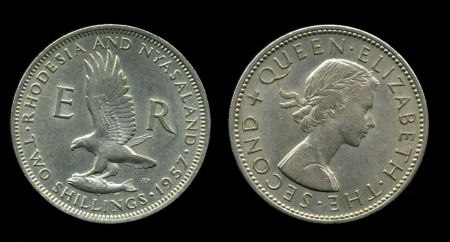 Родезия и Ньясаленд •1956 г. • KM# 6 • 2 шиллинга • орел • MS BU