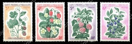 Сен-Пьер и Микелон 1970 г. • SC# 400-3 • 3 - 6 fr. • ягоды • полн. серия • MNH OG VF ( кат. - $12 )