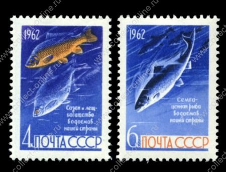 СССР 1962 г. • Сол# 2732-3 • 4 и 6 коп. • Промысловые рыбы • сазан и лещ, сёмга • полн. серия • MH OG VF