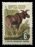 СССР 1964 г. • Сол# 3051 • 6 коп. • 100 лет московскому зоопарку • лось •  MNH OG VF