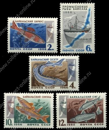 СССР 1966 г. Сол# 3399-3403 • Промысловые рыбы Байкала • MNH OG XF • полн. серия