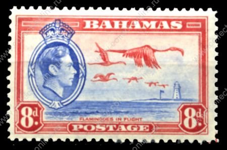 Багамы 1938-1946 гг. • Gb# 160 • 8 d. • Георг VI • осн. выпуск  • фламинго • MNH OG VF ( кат. - £15 )