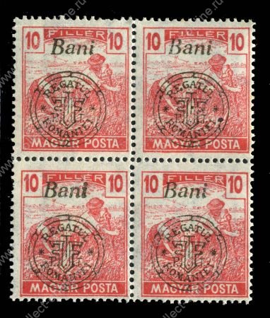 ВЕНГРИЯ ТРАНСИЛЬВАНИЯ 1919г. SC# 6N45 / 10b. / MNH OG VF / кв. блок разн.