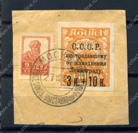 СССР 1924г. СОЛ# 207 / НАВОДНЕНИЕ ЛЕНИНГРАД / НА ВЫРЕЗКЕ / USED VF