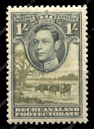 Бечуаналенд 1938-1952 гг. • Gb# 125 • 1 sh. • Георг VI основной выпуск • коровы на водопое • MLH OG XF ( кат.- £5 )