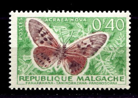 Мадагаскар 1960 г. • SC# 307 • 0.40 fr. • Природа острова • бабочка • MNH OG VF