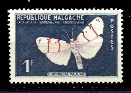Мадагаскар 1960 г. • SC# 309 • 1 fr. • Природа острова • бабочка • MNH OG VF