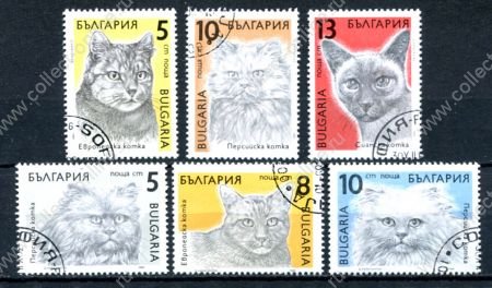 Болгария 1989г. SC# 3510-15 • кошки • Used(ФГ)/** VF / фауна