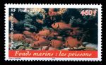 Французская Полинезия 2003 г. • SC# 849 • 460 fr. • Морская жизнь • MNH OG XF ( кат.- $10 )