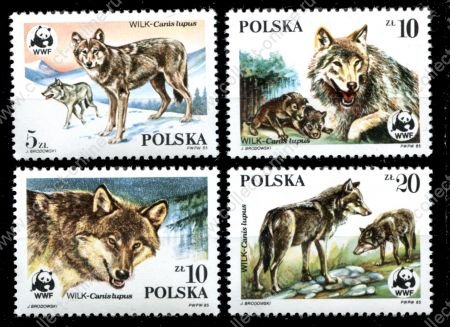 Польша 1985 г. • Mi# 2975-8(SC# 2678-8) • 5 - 20 zt. • Волки • MNH OG XF • полн. серия ( кат.- $7,5 )