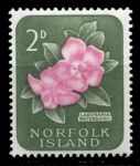 Норфолк о-в 1960-1962 гг. • Gb# 25 • Елизавета II основной выпуск • 2d. • орхидея • MNH OG XF