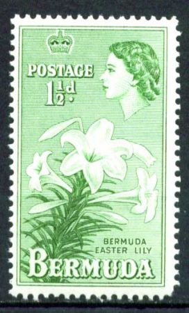 Бермуды 1953-1962 гг. • Gb# 137 • 1½ d. • Елизавета II • осн. выпуск • лилия • MNH OG VF