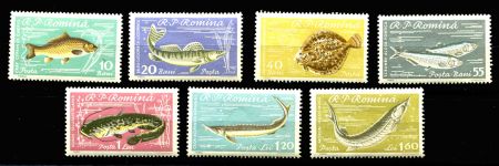 РУМЫНИЯ 1960г. MI# 1927-33 / РЫБЫ MNH OG VF / ФАУНА