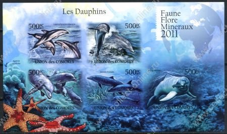 Коморские о-ва 2011 г. • SC# • 500 fr.(5) • Дельфины Атлантического океана • б.з. • блок 5 м. • MNH OG VF
